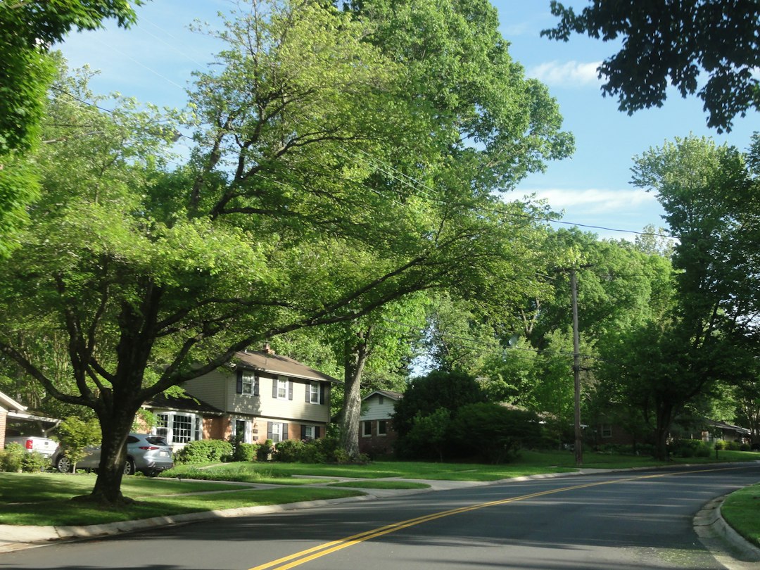 Tree-lined residential street in a family neighbourhood, representing home insurance for Waterloo homeowners